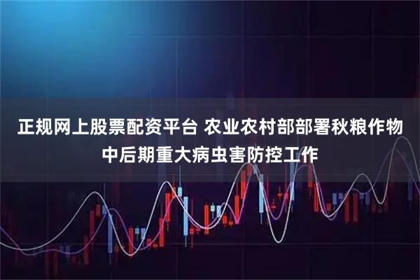 正规网上股票配资平台 农业农村部部署秋粮作物中后期重大病虫害防控工作