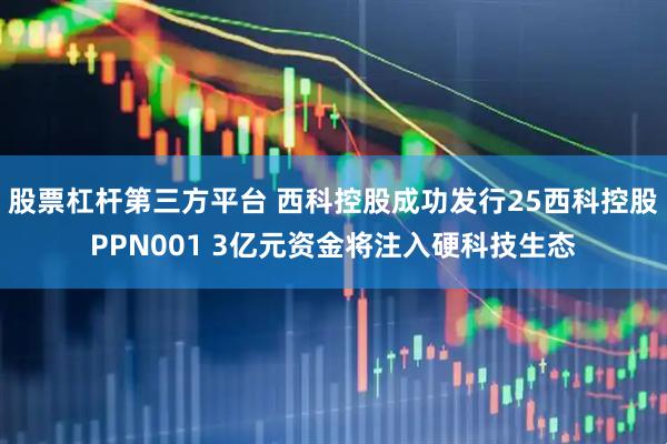 股票杠杆第三方平台 西科控股成功发行25西科控股PPN001 3亿元资金将注入硬科技生态