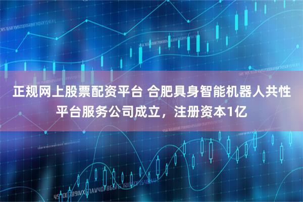 正规网上股票配资平台 合肥具身智能机器人共性平台服务公司成立，注册资本1亿