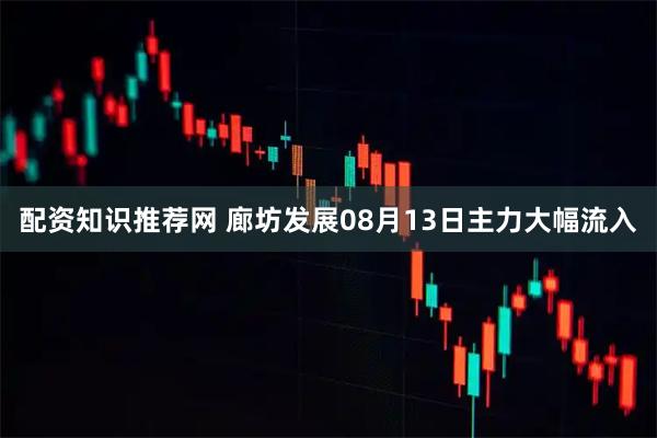 配资知识推荐网 廊坊发展08月13日主力大幅流入