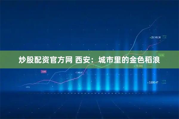 炒股配资官方网 西安：城市里的金色稻浪